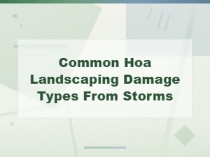 Common Hoa Landscaping Damage From Storms