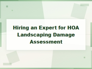 Hiring an Expert for Hoa Landscaping Damage Assessment: a Complete Guide