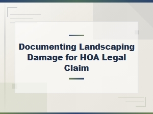 How to Document Landscaping Damage for Your Hoa Claim